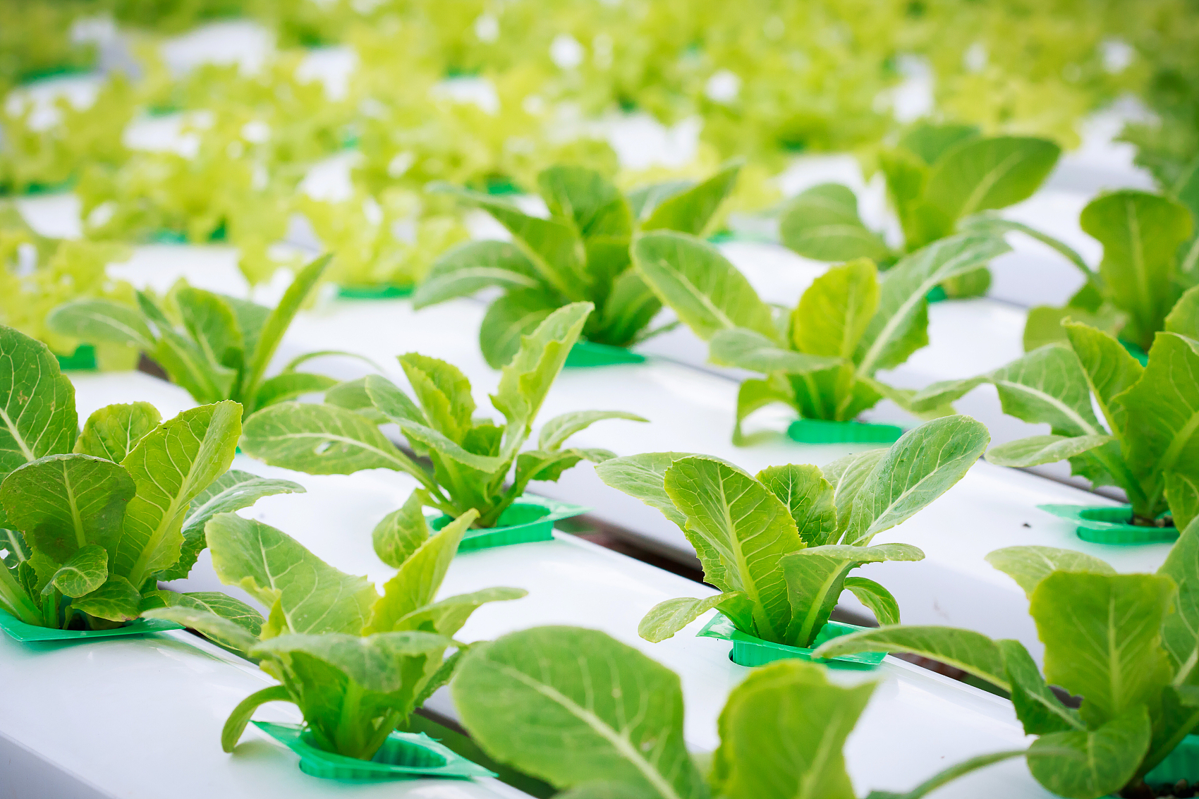 水肥一體化 水肥一體化